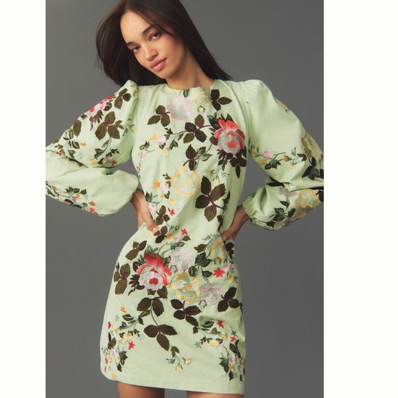 NWT Anthropologie Let Me Be Fully Floral Embroidered Long-Sleeve Mini Dress M - Picture 1 of 17